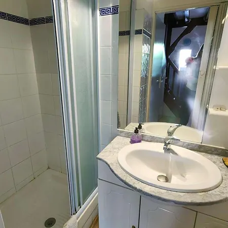 Climatisee Avec Piscine, Parking Et Terrasse A 450m De La - Fr-1-607-17 Casa de Férias